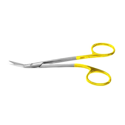 Walter Cottle Dorsal Scissors