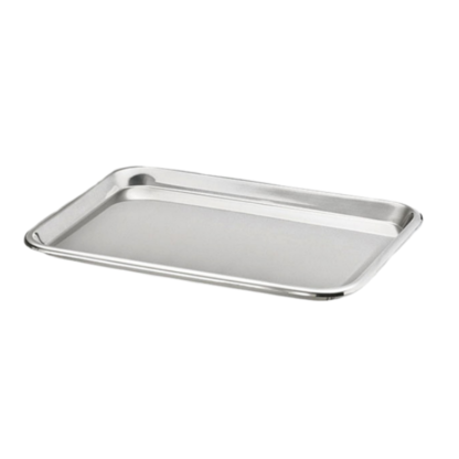 Stainless Steel Instrument Tray